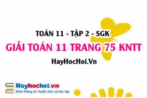 Giải Toán 11 trang 75 tập 2 Kết nối tri thức